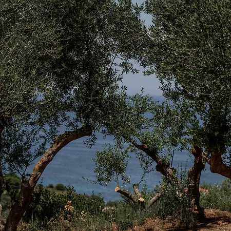 Cossoro Ena In Zakynthos *