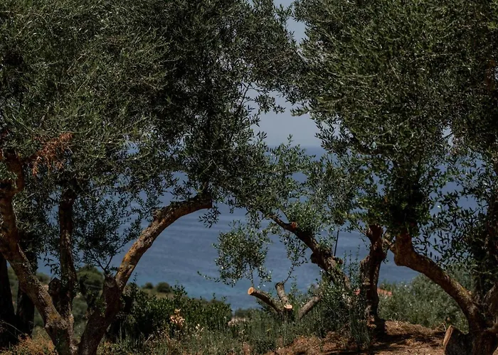 Cossoro Ena In Zakynthos *